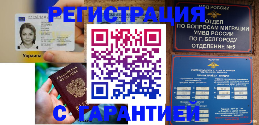 прописка иностранных граждан в Мурманской области